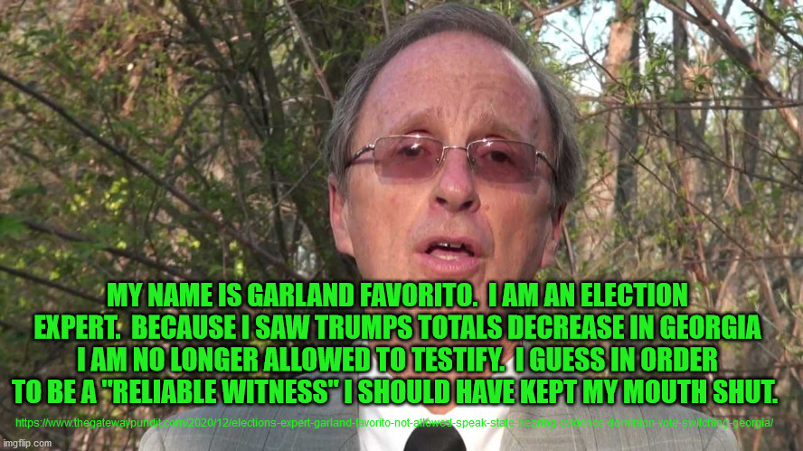 All you have to do to get "debunked" or called an "unreliable witness" is testify that there was voter fraud. | MY NAME IS GARLAND FAVORITO.  I AM AN ELECTION EXPERT.  BECAUSE I SAW TRUMPS TOTALS DECREASE IN GEORGIA I AM NO LONGER ALLOWED TO TESTIFY.  I GUESS IN ORDER TO BE A "RELIABLE WITNESS" I SHOULD HAVE KEPT MY MOUTH SHUT. https://www.thegatewaypundit.com/2020/12/elections-expert-garland-favorito-not-allowed-speak-state-hearing-evidence-dominion-vote-switching-georgia/ | image tagged in voter fraud,donald trump,democrat corruption | made w/ Imgflip meme maker
