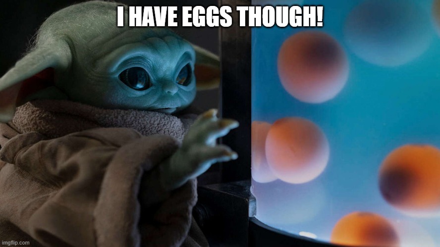Baby Yoda Eggs | I HAVE EGGS THOUGH! | image tagged in baby yoda eggs | made w/ Imgflip meme maker