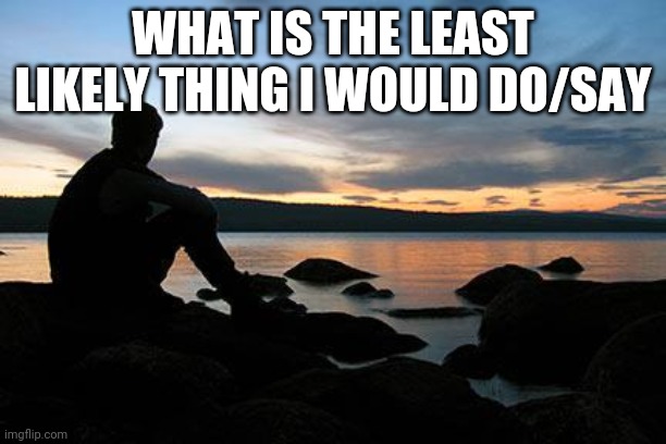 sunsetlakelonelyman | WHAT IS THE LEAST LIKELY THING I WOULD DO/SAY | image tagged in sunsetlakelonelyman | made w/ Imgflip meme maker