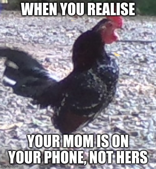 did i remember to delete my history today?                                                                          (this is my  | WHEN YOU REALISE; YOUR MOM IS ON YOUR PHONE, NOT HERS | image tagged in this is worthless | made w/ Imgflip meme maker