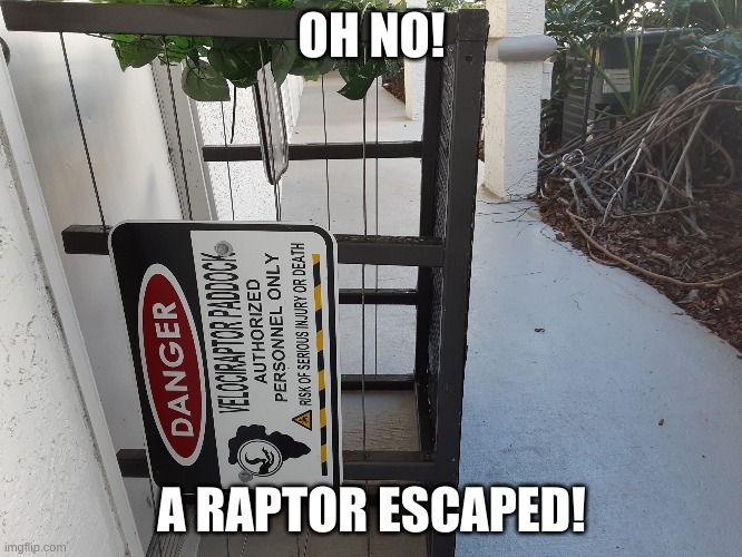 When you find something close, by your house | OH NO! A RAPTOR ESCAPED! | image tagged in universal studios,jurassic park,prop,real life,funny memes | made w/ Imgflip meme maker