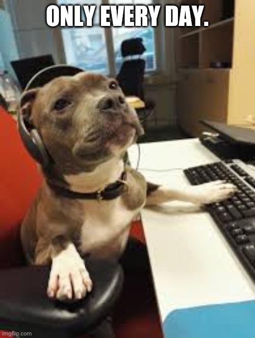 Helpdesk dog | ONLY EVERY DAY. | image tagged in helpdesk dog | made w/ Imgflip meme maker