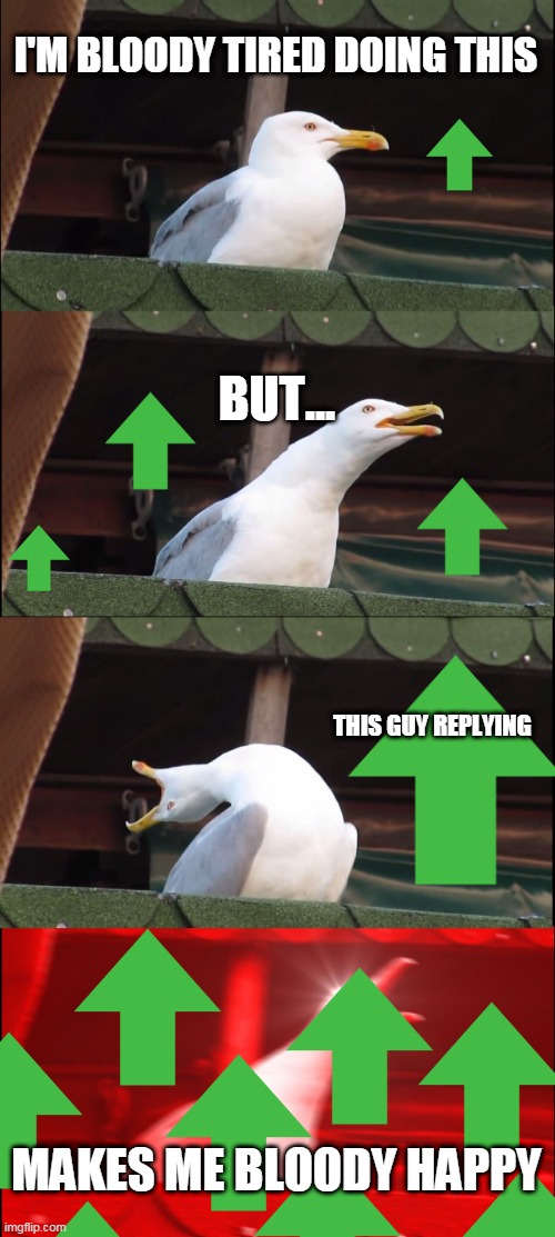 Inhaling Seagull Meme | I'M BLOODY TIRED DOING THIS BUT... THIS GUY REPLYING MAKES ME BLOODY HAPPY | image tagged in memes,inhaling seagull | made w/ Imgflip meme maker