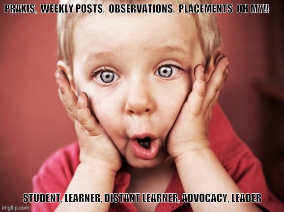 Overwhelmed | PRAXIS,  WEEKLY POSTS,  OBSERVATIONS,  PLACEMENTS  OH MY!! STUDENT, LEARNER, DISTANT LEARNER, ADVOCACY, LEADER | image tagged in overwhelmed | made w/ Imgflip meme maker