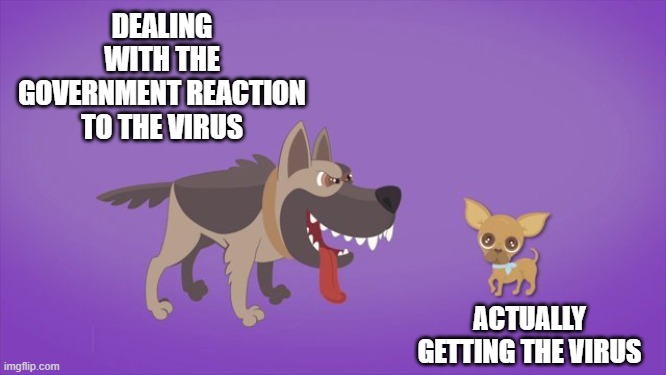 virus vs govt reaction | DEALING WITH THE GOVERNMENT REACTION TO THE VIRUS; ACTUALLY GETTING THE VIRUS | image tagged in coronavirus,politics | made w/ Imgflip meme maker