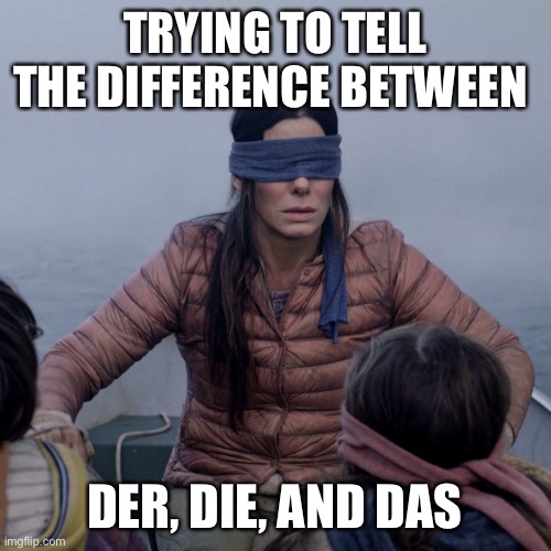 Bird Box Meme | TRYING TO TELL THE DIFFERENCE BETWEEN; DER, DIE, AND DAS | image tagged in memes,bird box | made w/ Imgflip meme maker