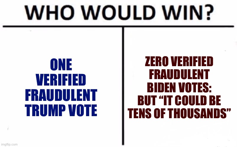 When you bring one fraudulent Trump vote to a discussion. | ONE VERIFIED FRAUDULENT TRUMP VOTE; ZERO VERIFIED FRAUDULENT BIDEN VOTES: BUT “IT COULD BE TENS OF THOUSANDS” | image tagged in memes,who would win,voter fraud,election fraud,conservative hypocrisy,conservative logic | made w/ Imgflip meme maker