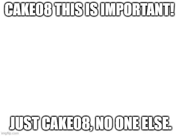just us | CAKE08 THIS IS IMPORTANT! JUST CAKE08, NO ONE ELSE. | image tagged in blank white template | made w/ Imgflip meme maker