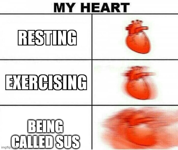 MY HEART | BEING CALLED SUS | image tagged in my heart | made w/ Imgflip meme maker