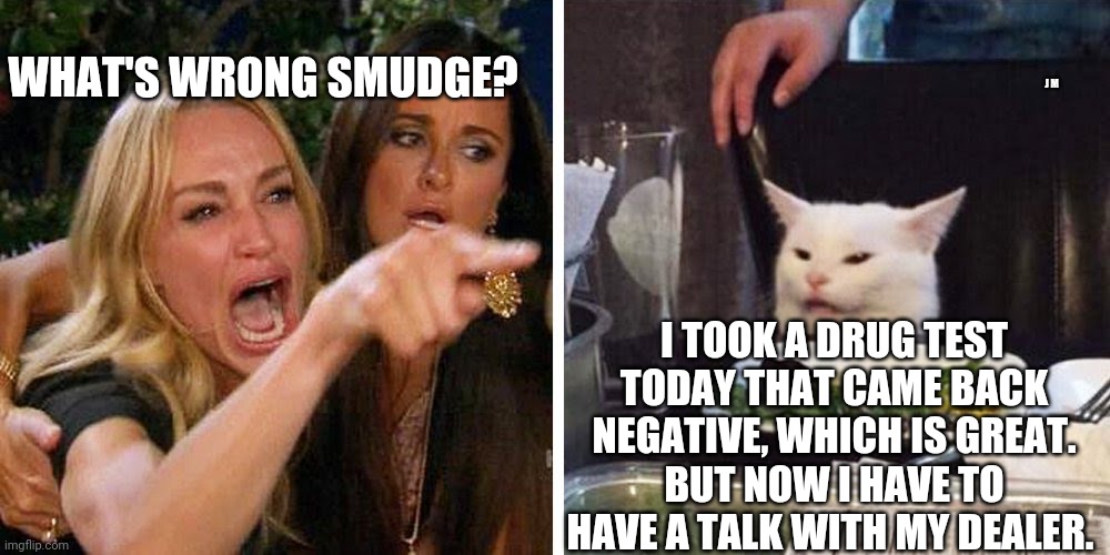 Smudge the cat | J M; WHAT'S WRONG SMUDGE? I TOOK A DRUG TEST TODAY THAT CAME BACK NEGATIVE, WHICH IS GREAT. BUT NOW I HAVE TO HAVE A TALK WITH MY DEALER. | image tagged in smudge the cat | made w/ Imgflip meme maker