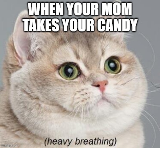 That precious candy | WHEN YOUR MOM TAKES YOUR CANDY | image tagged in memes,heavy breathing cat | made w/ Imgflip meme maker