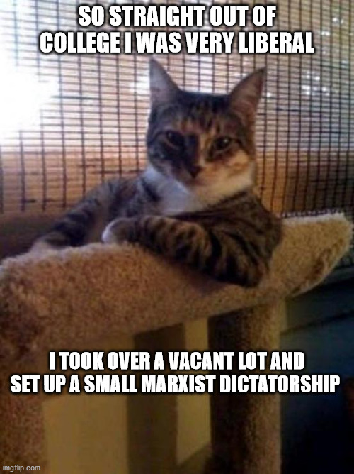 The Most Interesting Cat In The World Meme | SO STRAIGHT OUT OF COLLEGE I WAS VERY LIBERAL; I TOOK OVER A VACANT LOT AND SET UP A SMALL MARXIST DICTATORSHIP | image tagged in memes,the most interesting cat in the world | made w/ Imgflip meme maker