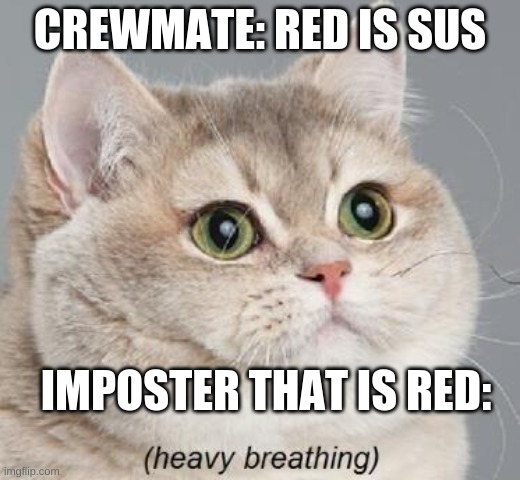 Heavy Breathing Cat | CREWMATE: RED IS SUS; IMPOSTER THAT IS RED: | image tagged in memes,heavy breathing cat | made w/ Imgflip meme maker