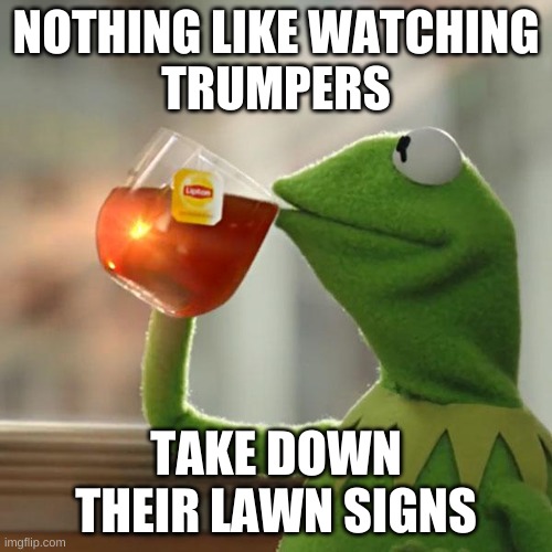 But That's None Of My Business Meme | NOTHING LIKE WATCHING
TRUMPERS; TAKE DOWN THEIR LAWN SIGNS | image tagged in but that's none of my business,kermit the frog,trump lawn mower,political meme,advertising,trump lost | made w/ Imgflip meme maker