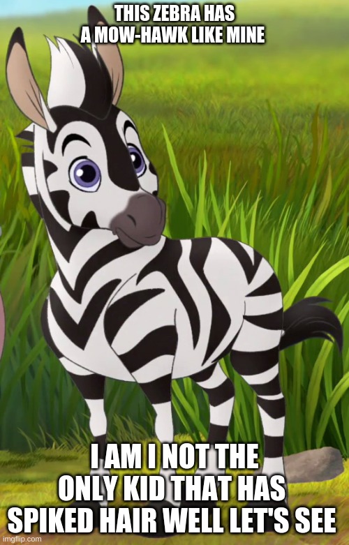 uh there is a such a thing of a spiked haired zebra colt | THIS ZEBRA HAS A MOW-HAWK LIKE MINE; I AM I NOT THE ONLY KID THAT HAS  SPIKED HAIR WELL LET'S SEE | image tagged in zebra | made w/ Imgflip meme maker