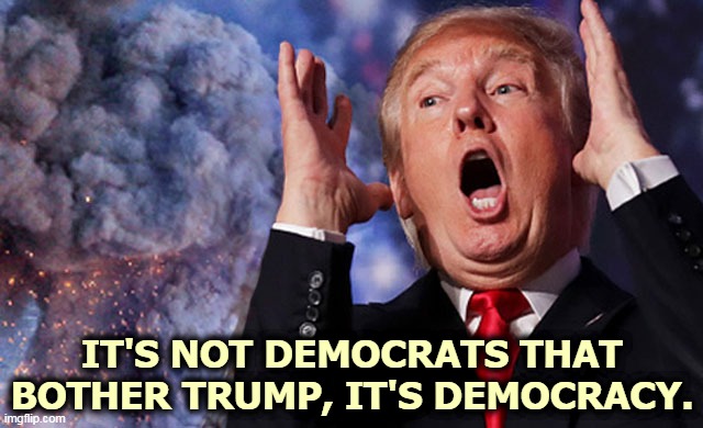 He really hates it. | IT'S NOT DEMOCRATS THAT BOTHER TRUMP, IT'S DEMOCRACY. | image tagged in trump loses and his head explodes,trump,loser,whine,cry,collapse | made w/ Imgflip meme maker