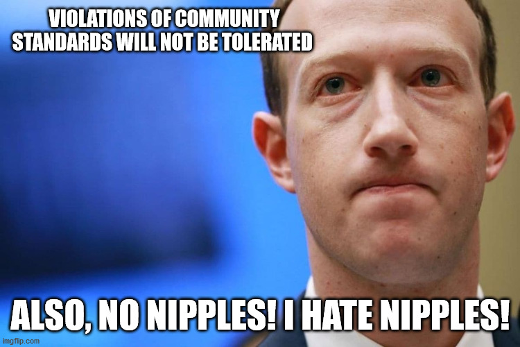 no nipples! | VIOLATIONS OF COMMUNITY STANDARDS WILL NOT BE TOLERATED; ALSO, NO NIPPLES! I HATE NIPPLES! | image tagged in zuckerberg | made w/ Imgflip meme maker