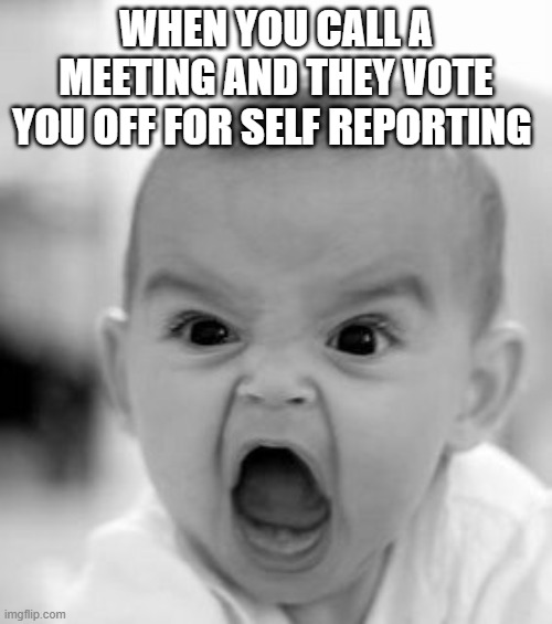 anyone else? only me ok | WHEN YOU CALL A MEETING AND THEY VOTE YOU OFF FOR SELF REPORTING | image tagged in memes,angry baby | made w/ Imgflip meme maker
