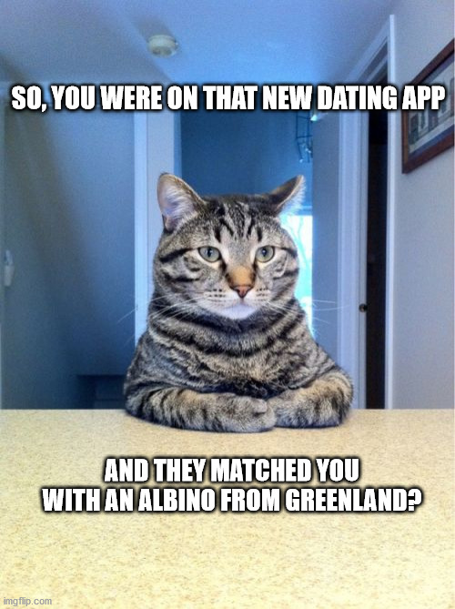 Take A Seat Cat | SO, YOU WERE ON THAT NEW DATING APP; AND THEY MATCHED YOU WITH AN ALBINO FROM GREENLAND? | image tagged in memes,take a seat cat | made w/ Imgflip meme maker