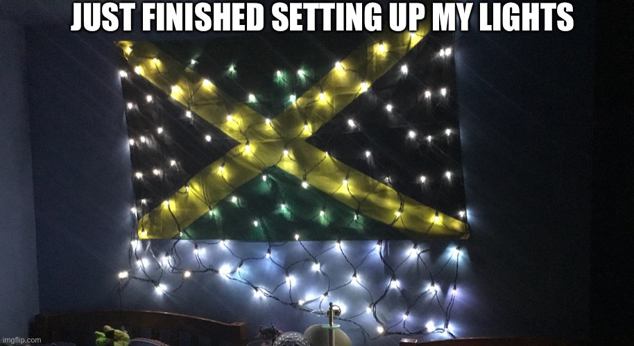 Sorry for the bad picture | JUST FINISHED SETTING UP MY LIGHTS | made w/ Imgflip meme maker