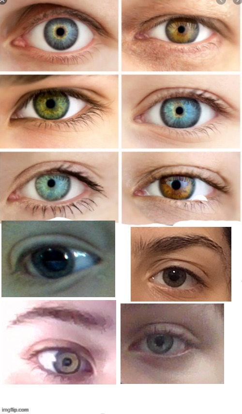 repost this and add your eye | made w/ Imgflip meme maker