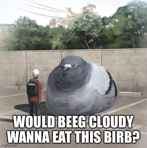 Beeg Birb | WOULD BEEG CLOUDY WANNA EAT THIS BIRB? | image tagged in beeg birb | made w/ Imgflip meme maker