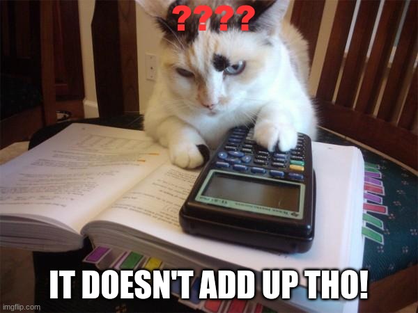 Math cat | ???? IT DOESN'T ADD UP THO! | image tagged in math cat | made w/ Imgflip meme maker
