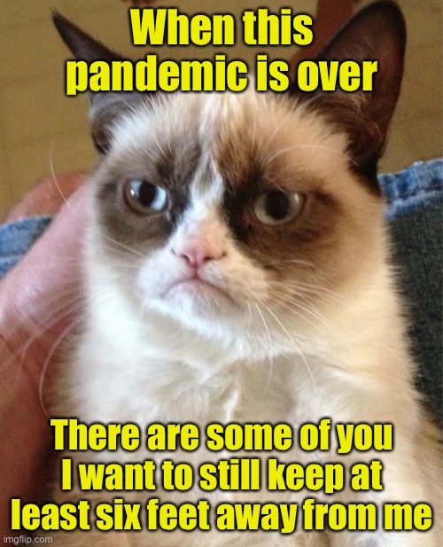 Grumpy Cat Meme | When this pandemic is over; There are some of you I want to still keep at least six feet away from me | image tagged in memes,grumpy cat,covid-19,pandemic | made w/ Imgflip meme maker