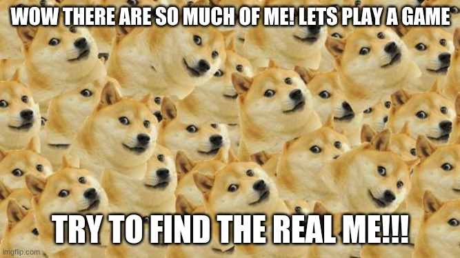Multi Doge | WOW THERE ARE SO MUCH OF ME! LETS PLAY A GAME; TRY TO FIND THE REAL ME!!! | image tagged in memes,multi doge | made w/ Imgflip meme maker