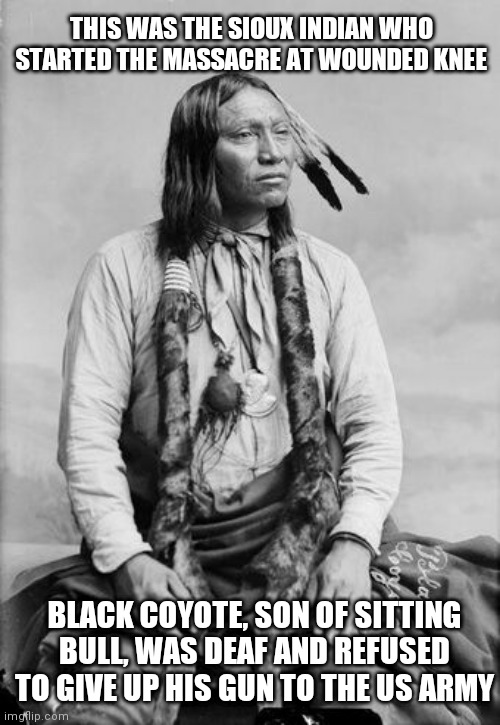 be like black coyote | THIS WAS THE SIOUX INDIAN WHO STARTED THE MASSACRE AT WOUNDED KNEE; BLACK COYOTE, SON OF SITTING BULL, WAS DEAF AND REFUSED TO GIVE UP HIS GUN TO THE US ARMY | image tagged in gun control | made w/ Imgflip meme maker