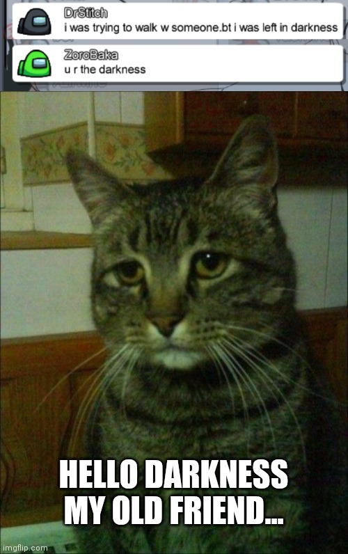 HELLO DARKNESS MY OLD FRIEND... | image tagged in memes,depressed cat | made w/ Imgflip meme maker