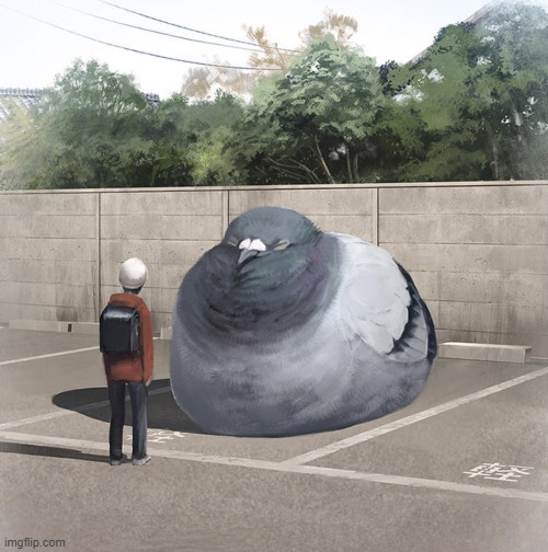 Beeg Birb | image tagged in beeg birb | made w/ Imgflip meme maker