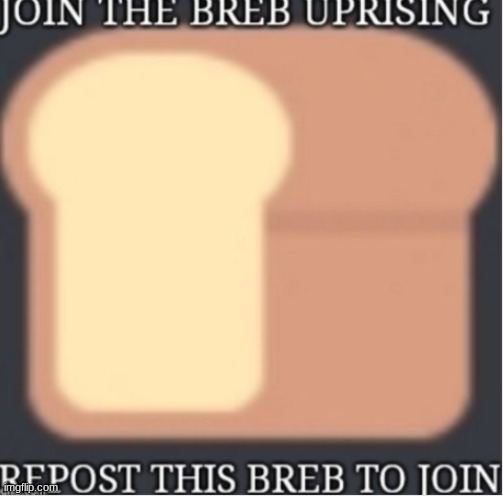 breb | made w/ Imgflip meme maker