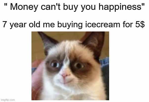 happy money | " Money can't buy you happiness"; 7 year old me buying icecream for 5$ | image tagged in memes,grumpy cat | made w/ Imgflip meme maker