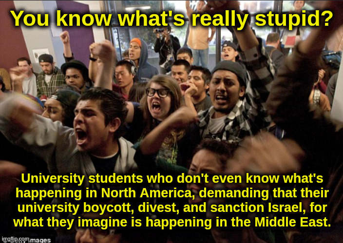 BDS Movement | You know what's really stupid? University students who don't even know what's
happening in North America, demanding that their
university boycott, divest, and sanction Israel, for
what they imagine is happening in the Middle East. | image tagged in university,israel,students,boycott,divest,sanction | made w/ Imgflip meme maker