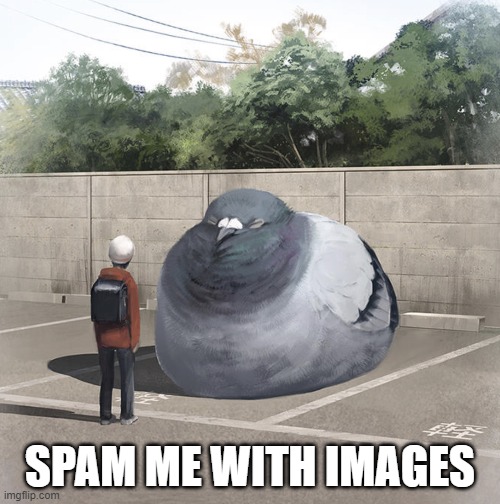 Beeg Birb | SPAM ME WITH IMAGES | image tagged in beeg birb | made w/ Imgflip meme maker