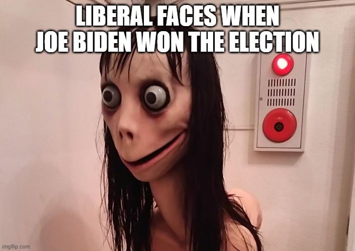Liberal faces when joe biden won the election | LIBERAL FACES WHEN JOE BIDEN WON THE ELECTION | image tagged in joe biden,election | made w/ Imgflip meme maker