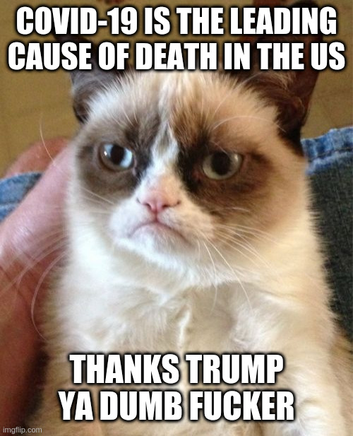 OK this is my last negative meme, I super-duper excellent promise! | COVID-19 IS THE LEADING CAUSE OF DEATH IN THE US; THANKS TRUMP YA DUMB FUCKER | image tagged in memes,grumpy cat,neo-truth era,fascist | made w/ Imgflip meme maker