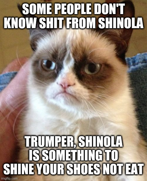 Grumpy Cat | SOME PEOPLE DON'T KNOW SHIT FROM SHINOLA; TRUMPER, SHINOLA IS SOMETHING TO SHINE YOUR SHOES NOT EAT | image tagged in memes,grumpy cat,shinola | made w/ Imgflip meme maker