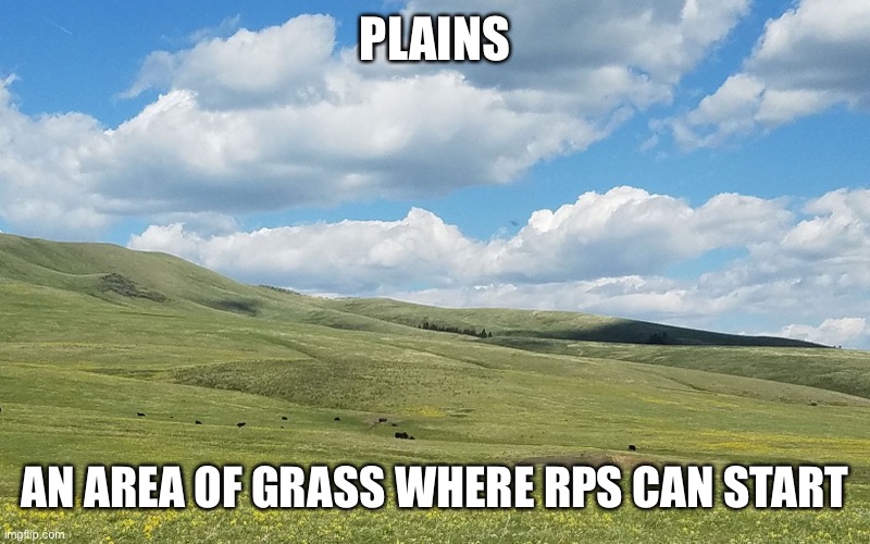 PLAINS; AN AREA OF GRASS WHERE RPS CAN START | made w/ Imgflip meme maker