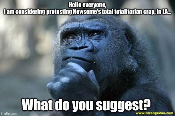 "Deep thoughts" on fighting this deep evil. | Hello everyone,
I am considering protesting Newsome's total totalitarian crap, in LA... What do you suggest? | image tagged in deep thoughts,evil,newsome | made w/ Imgflip meme maker