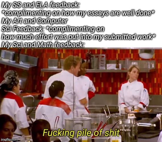 Fucking pile of shit | My SS and ELA feedback: *complimenting on how my essays are well done*
My Art and Computer Sci Feedback: *complimenting on how much effort was put into my submitted work*
My Sci and Math feedback: | image tagged in fucking pile of shit | made w/ Imgflip meme maker