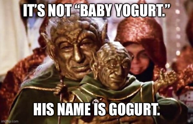Spaceballs 2: The Search for More Money | IT’S NOT “BABY YOGURT.”; HIS NAME IS GOGURT. | image tagged in spaceballs,yogurt,yoda,baby yoda | made w/ Imgflip meme maker