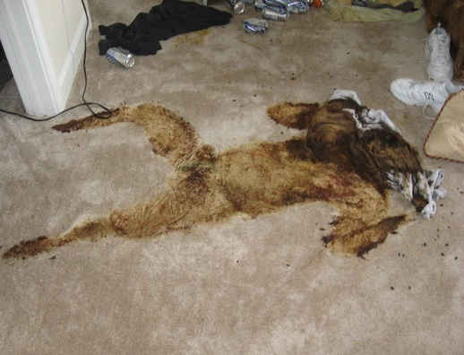 decomposing body stain Blank Meme Template