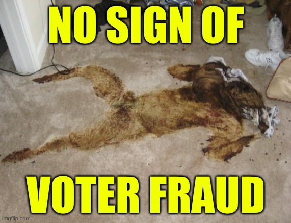decomposing body stain | NO SIGN OF; VOTER FRAUD | image tagged in decomposing body stain,dead body reported,election fraud,liberal hypocrisy,voter fraud | made w/ Imgflip meme maker