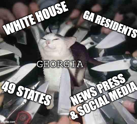 Senate 2020 runoff in GA in a nutshell | WHITE HOUSE; GA RESIDENTS; GEORGIA; 49 STATES; NEWS PRESS & SOCIAL MEDIA | image tagged in smug cat surrounded by knives | made w/ Imgflip meme maker