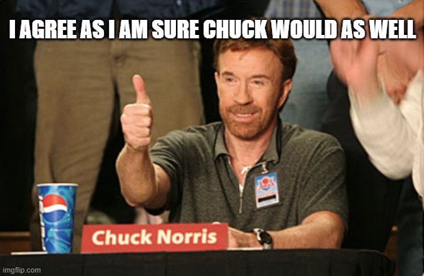 Chuck Norris Approves Meme | I AGREE AS I AM SURE CHUCK WOULD AS WELL | image tagged in memes,chuck norris approves,chuck norris | made w/ Imgflip meme maker