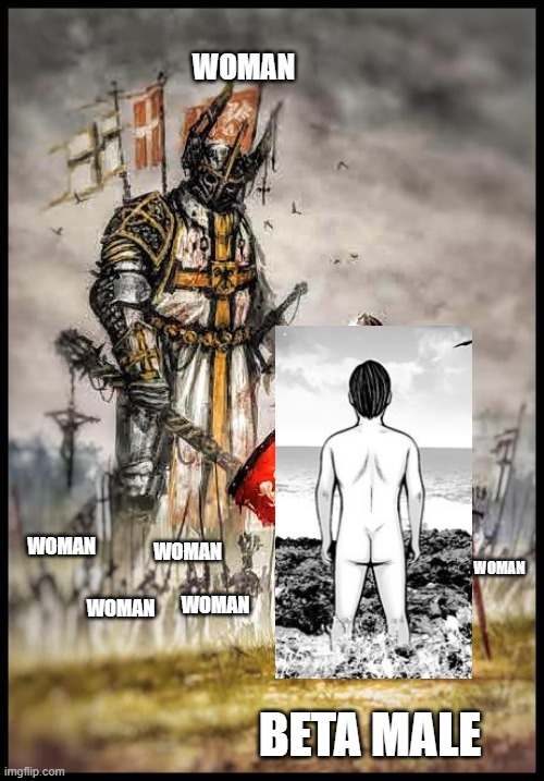 knight vs army | WOMAN; WOMAN; WOMAN; WOMAN; WOMAN; WOMAN; BETA MALE | image tagged in knight vs army | made w/ Imgflip meme maker