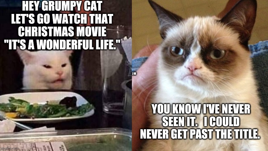 HEY GRUMPY CAT LET'S GO WATCH THAT CHRISTMAS MOVIE "IT'S A WONDERFUL LIFE."; J M; YOU KNOW I'VE NEVER SEEN IT.   I COULD NEVER GET PAST THE TITLE. | image tagged in smudge the cat | made w/ Imgflip meme maker