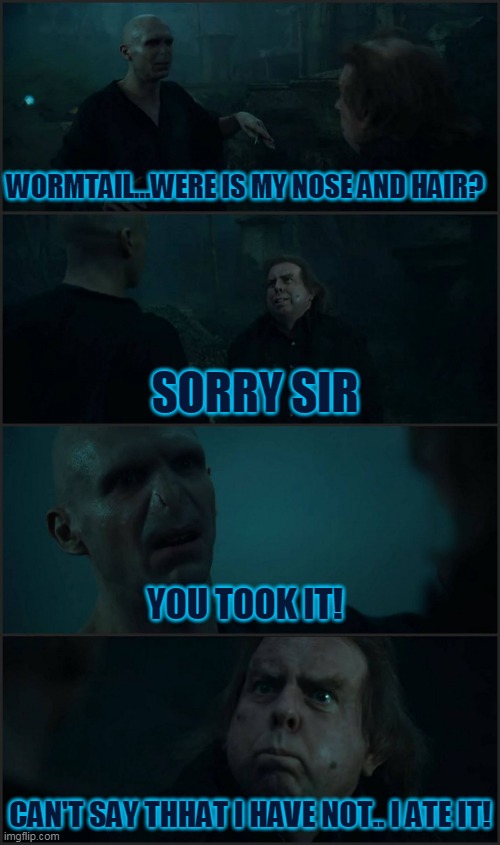 voldy n wormtail | WORMTAIL...WERE IS MY NOSE AND HAIR? SORRY SIR; YOU TOOK IT! CAN'T SAY THHAT I HAVE NOT.. I ATE IT! | image tagged in voldemort pettigrew | made w/ Imgflip meme maker